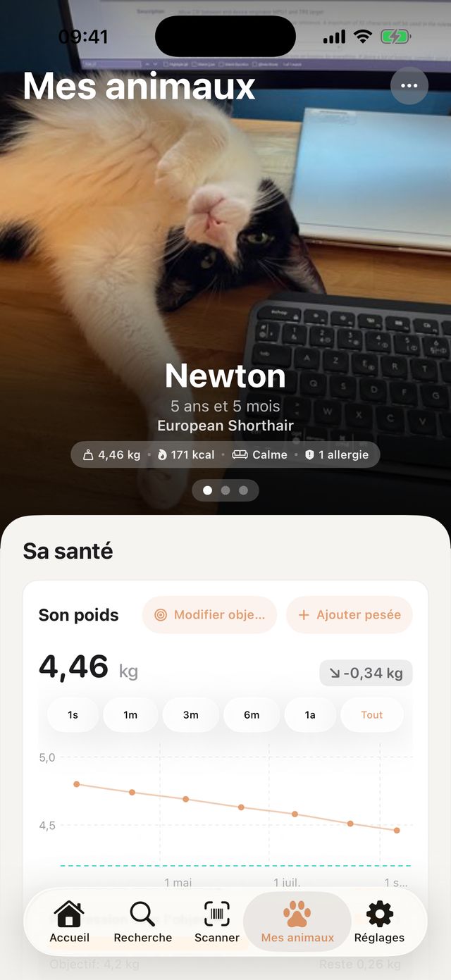 Profil de Newton, European Shorthair de 5 ans et 5 mois : 4,46 kg, besoins estimés à 171 kcal par jour, une allergie indiquée et sa courbe de poids.