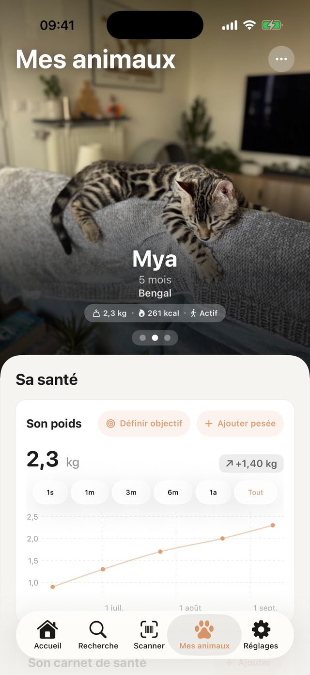 Profil de Mya, chatonne Bengal de 5 mois : 2,3 kg, besoins estimés à 261 kcal par jour, et sa courbe de poids.