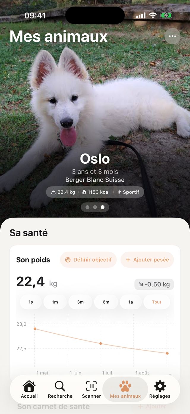 Profil d'Oslo, Berger Blanc Suisse de 3 ans et 3 mois : 22,4 kg, besoins estimés à 1153 kcal par jour, sportif.